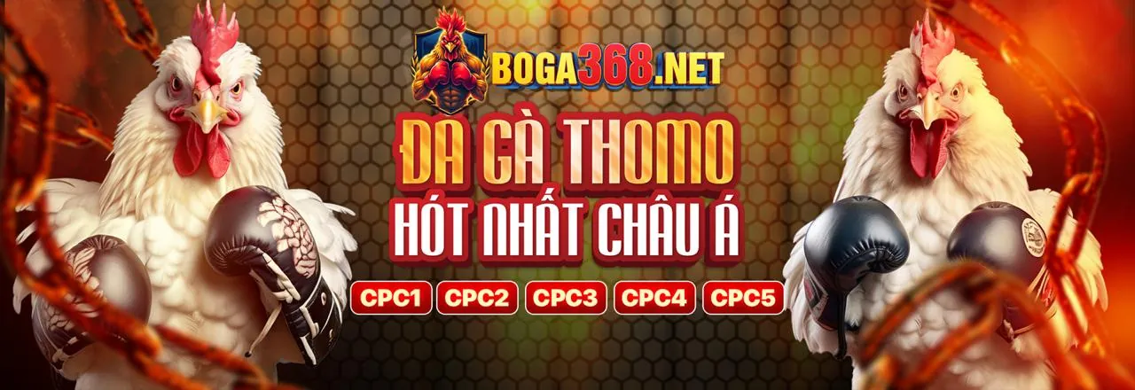 Hình ảnh hỗ trợ khách hàng HBbet6 chuyên nghiệp