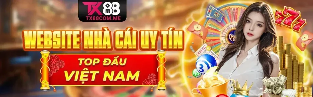 Đội ngũ chuyên nghiệp của HBbet6